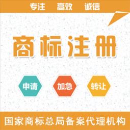 網(wǎng)絡(luò)技術(shù)服務(wù) 一眾網(wǎng)絡(luò)技術(shù)中心專(zhuān)業(yè)解析